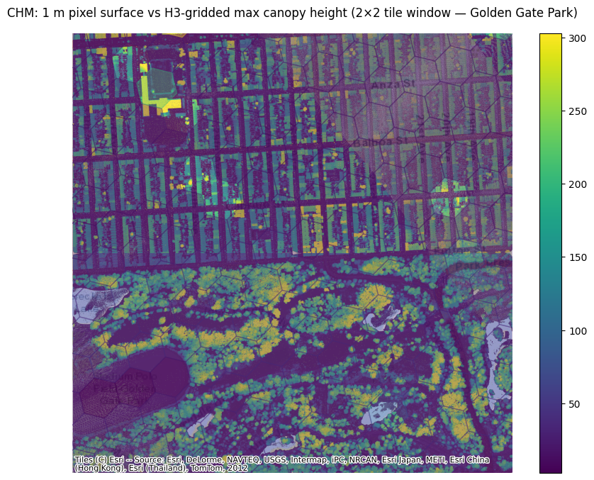 Golden Gate Park detail — the 1 m-pixel CHM raster beneath the H3-gridded maximum canopy height, same window and colormap, so a hex reads as the color of the pixels it summarizes (Part 3a).