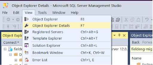 synapse-objects-explorer-view