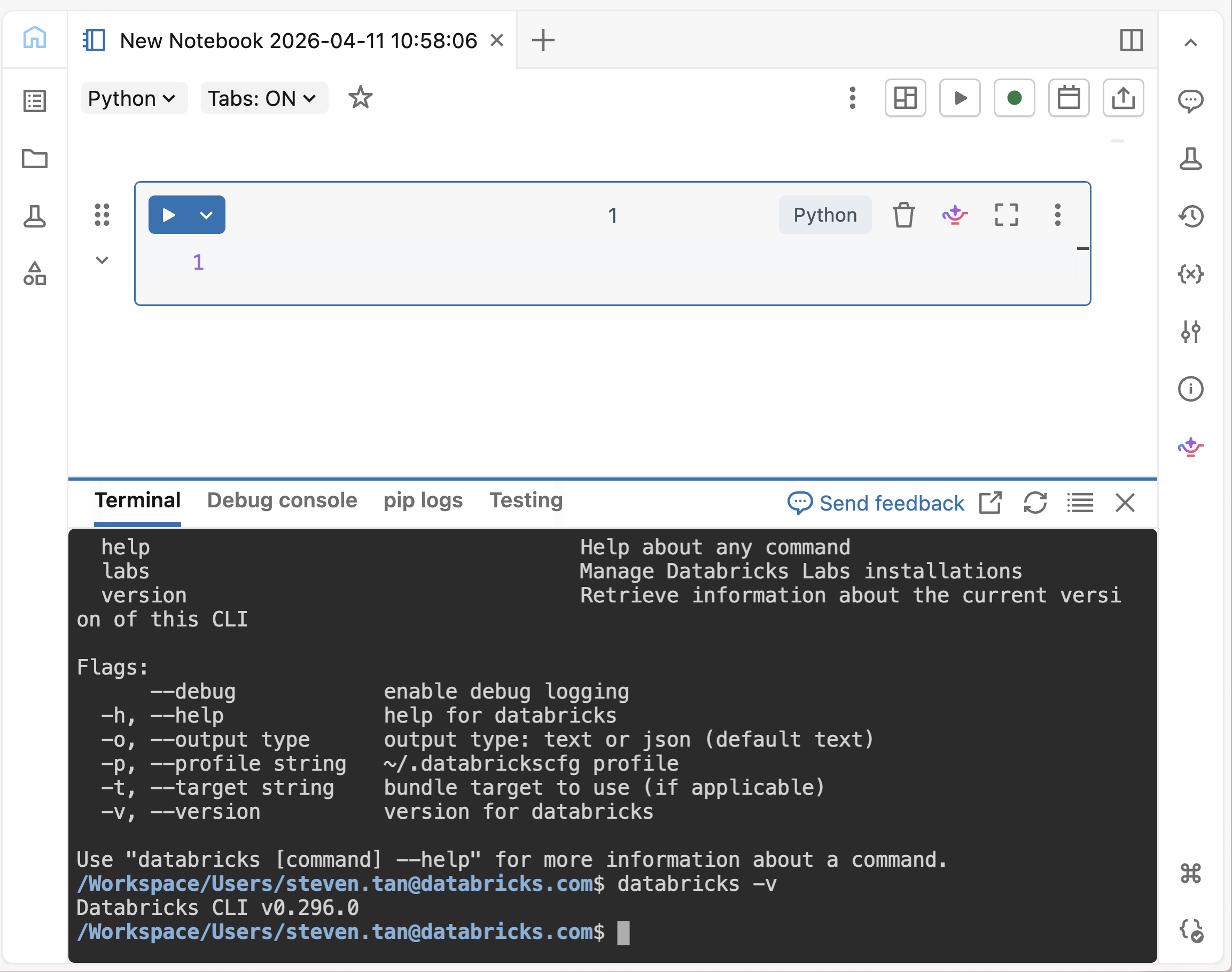 Terminal open with Databricks CLI available